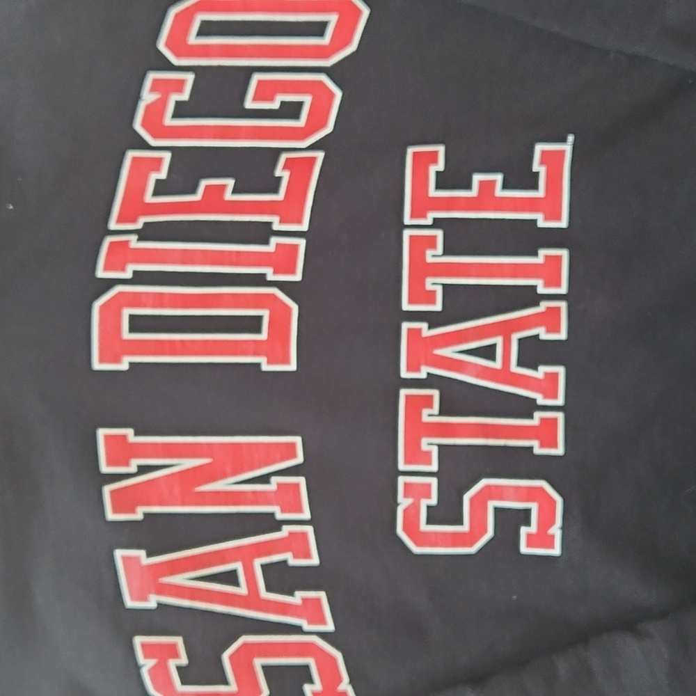 SDSU (San Diego State University) Mens Champion Hoodie Size Medium - Picture 2 of 11